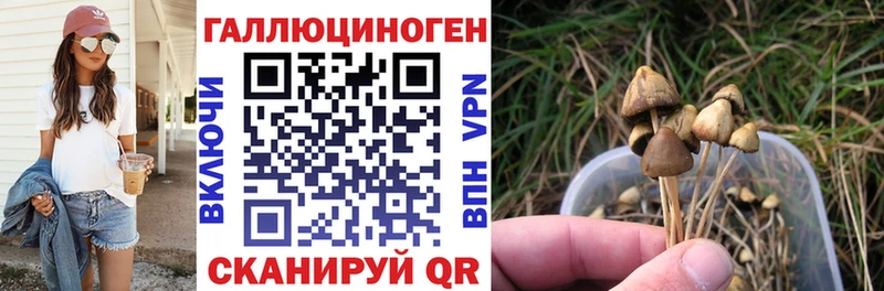 Галлюциногенные грибы Psilocybe Мелеуз
